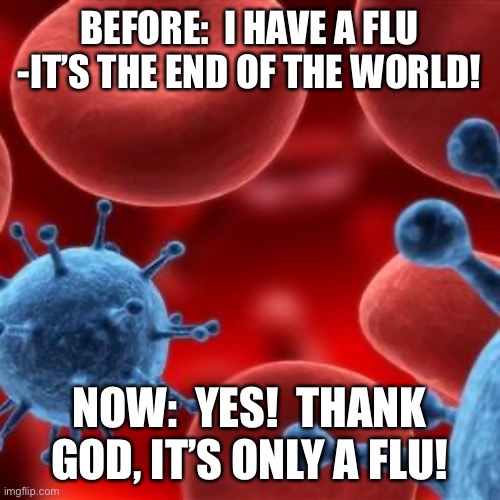 virus  | BEFORE:  I HAVE A FLU -IT’S THE END OF THE WORLD! NOW:  YES!  THANK GOD, IT’S ONLY A FLU! | image tagged in virus | made w/ Imgflip meme maker