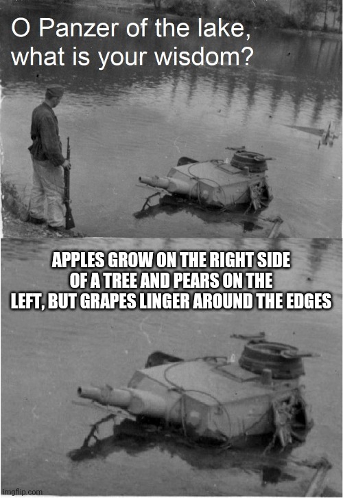 This doesn't make any sense | APPLES GROW ON THE RIGHT SIDE OF A TREE AND PEARS ON THE LEFT, BUT GRAPES LINGER AROUND THE EDGES | image tagged in o panzer of the lake,memes,wisdom,quotes | made w/ Imgflip meme maker