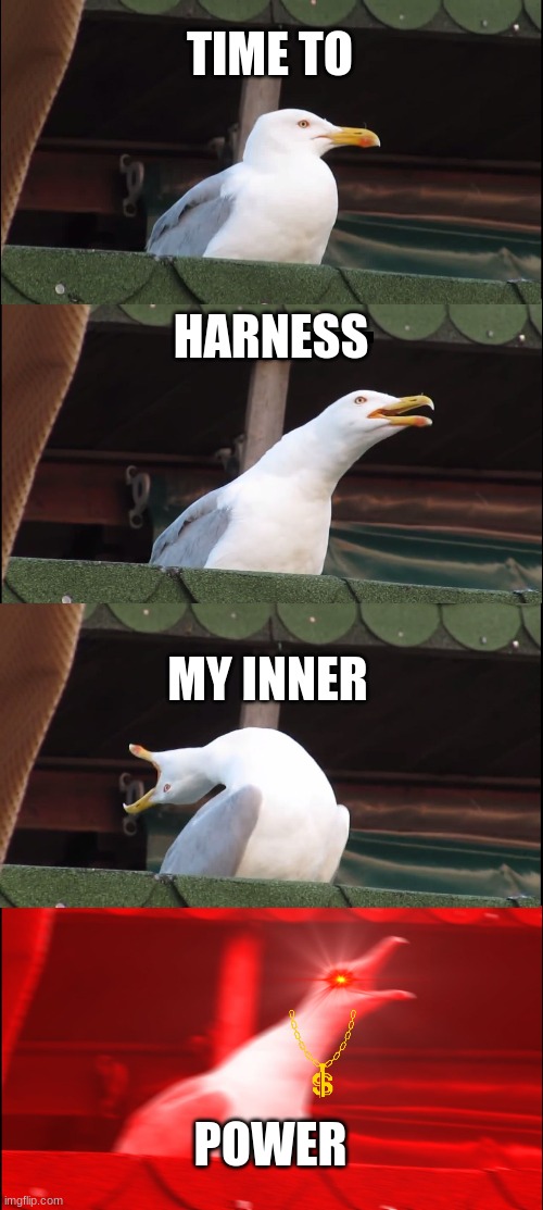 Inhaling Seagull Meme | TIME TO; HARNESS; MY INNER; POWER | image tagged in memes,inhaling seagull | made w/ Imgflip meme maker