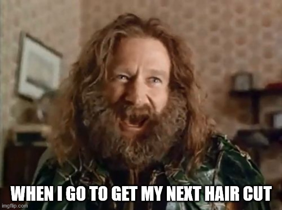 What Year Is It Meme | WHEN I GO TO GET MY NEXT HAIR CUT | image tagged in memes,what year is it | made w/ Imgflip meme maker