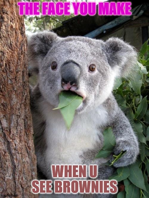 my life | THE FACE YOU MAKE; WHEN U SEE BROWNIES | image tagged in memes,surprised koala | made w/ Imgflip meme maker