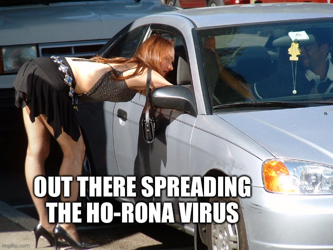 Hooker | OUT THERE SPREADING THE HO-RONA VIRUS | image tagged in hooker | made w/ Imgflip meme maker