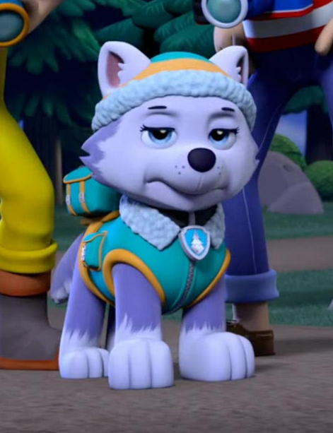 High Quality Bad Day Everest PAW Patrol Blank Meme Template