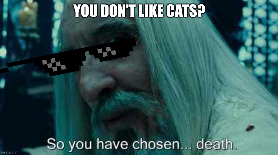 So you have chosen death | YOU DON’T LIKE CATS? | image tagged in cats,memes,deal with it | made w/ Imgflip meme maker