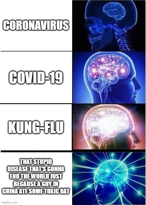 Expanding Brain | CORONAVIRUS; COVID-19; KUNG-FLU; THAT STUPID DISEASE THAT'S GONNA END THE WORLD JUST BECAUSE A GUY IN CHINA ATE SOME TOXIC BAT | image tagged in memes,expanding brain | made w/ Imgflip meme maker