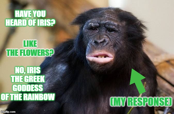 Huh? | HAVE YOU HEARD OF IRIS? LIKE THE FLOWERS? NO, IRIS THE GREEK GODDESS OF THE RAINBOW; (MY RESPONSE) | image tagged in huh | made w/ Imgflip meme maker