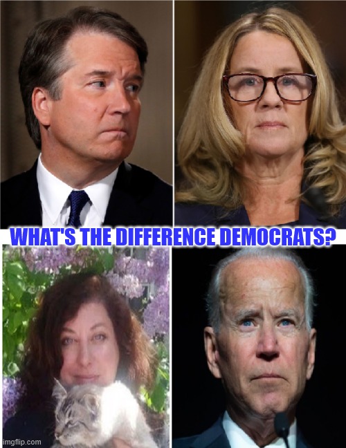 Democrat hypocrisy | WHAT'S THE DIFFERENCE DEMOCRATS? | image tagged in political meme | made w/ Imgflip meme maker
