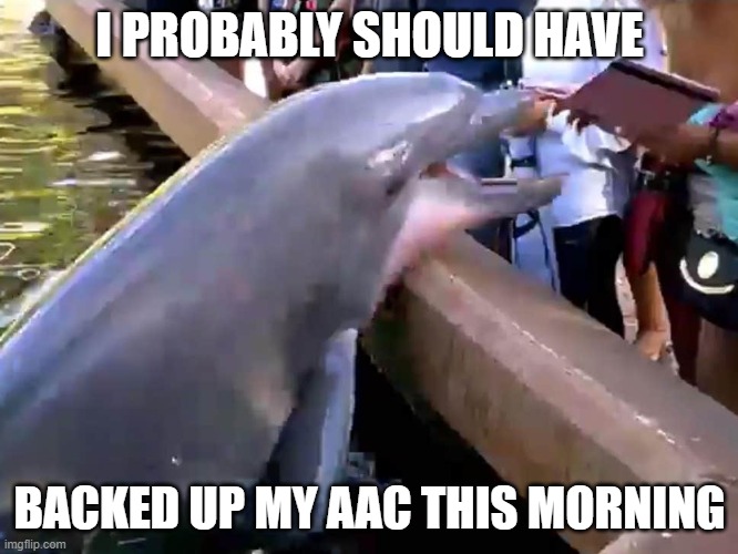 Back up your AAC |  I PROBABLY SHOULD HAVE; BACKED UP MY AAC THIS MORNING | image tagged in aac,back up,communication,speech-language pathologist | made w/ Imgflip meme maker