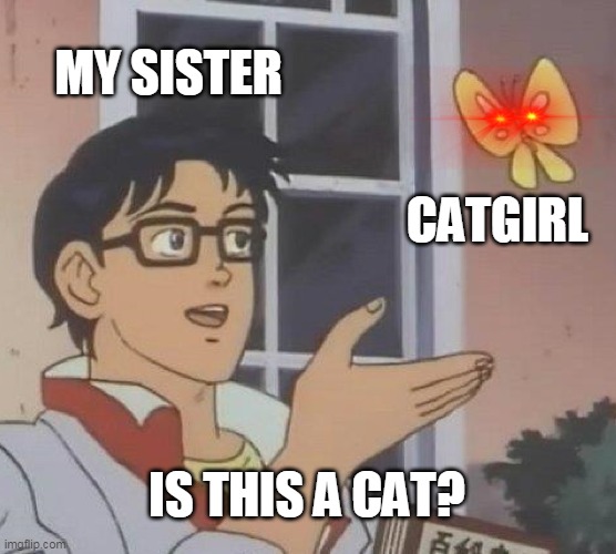 Is This A Pigeon | MY SISTER; CATGIRL; IS THIS A CAT? | image tagged in memes,is this a pigeon | made w/ Imgflip meme maker