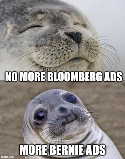 Short Satisfaction VS Truth | NO MORE BLOOMBERG ADS; MORE BERNIE ADS | image tagged in memes,short satisfaction vs truth | made w/ Imgflip meme maker