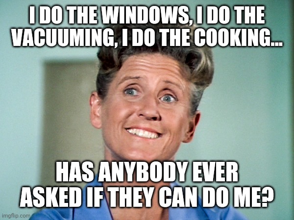 Depressing Alice | I DO THE WINDOWS, I DO THE VACUUMING, I DO THE COOKING... HAS ANYBODY EVER ASKED IF THEY CAN DO ME? | image tagged in depressing alice,the brady bunch | made w/ Imgflip meme maker
