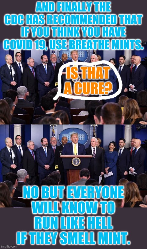 The CDC also recommends that if you can't laugh, you need to stay home much longer. | AND FINALLY THE CDC HAS RECOMMENDED THAT IF YOU THINK YOU HAVE COVID 19, USE BREATHE MINTS. IS THAT A CURE? NO BUT EVERYONE WILL KNOW TO RUN LIKE HELL IF THEY SMELL MINT. | image tagged in trump coronavirus press conference | made w/ Imgflip meme maker