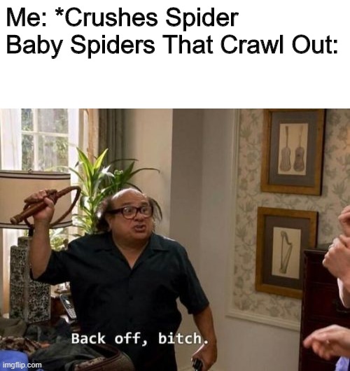 Me: *Crushes Spider
Baby Spiders That Crawl Out: | image tagged in blank white template,danny devito back off | made w/ Imgflip meme maker