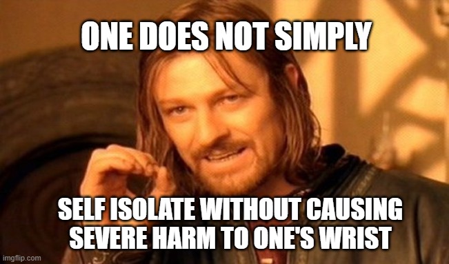 One Does Not Simply Meme | ONE DOES NOT SIMPLY; SELF ISOLATE WITHOUT CAUSING
SEVERE HARM TO ONE'S WRIST | image tagged in memes,one does not simply | made w/ Imgflip meme maker