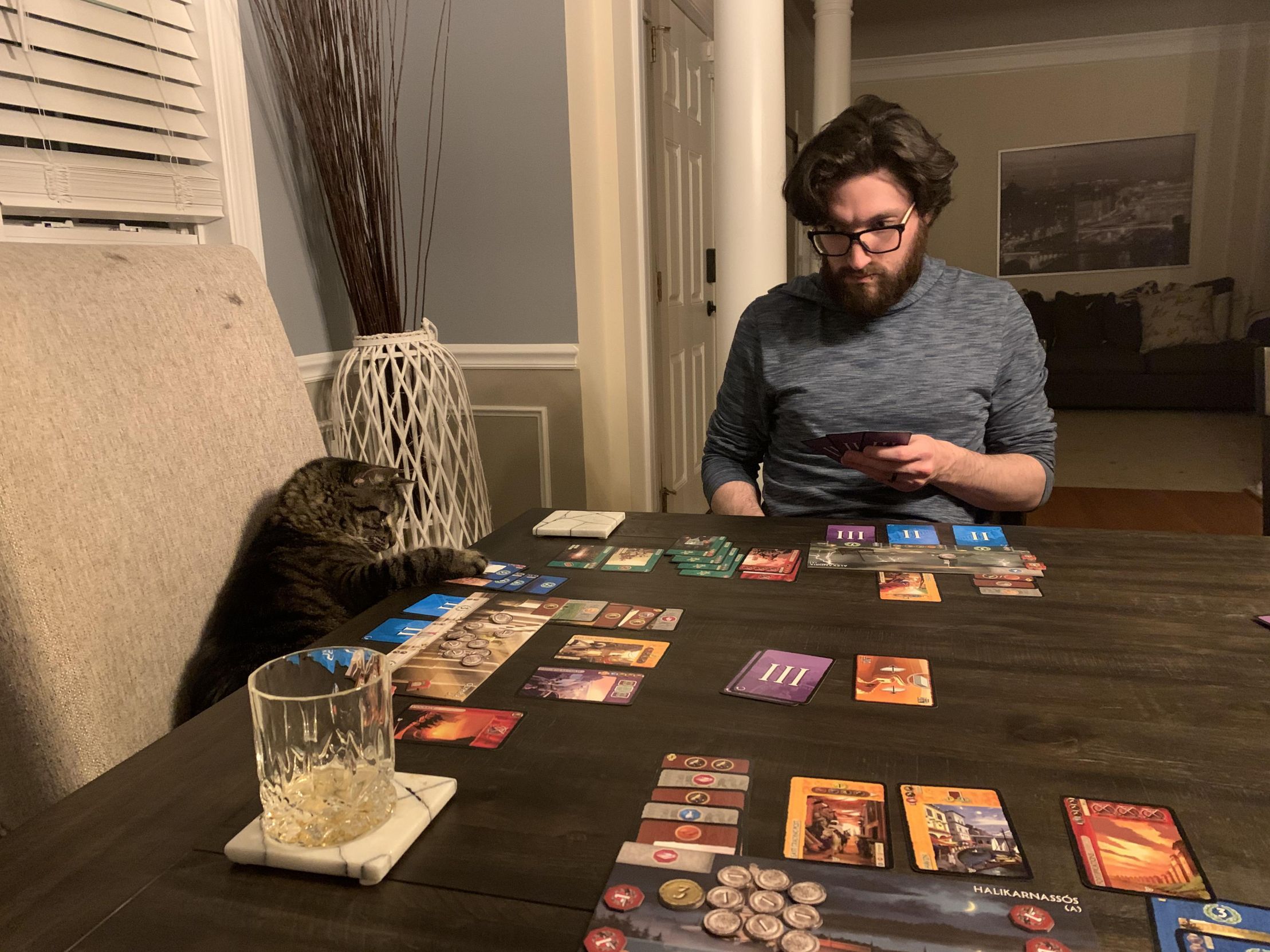 Cat Playing Board Games Blank Meme Template