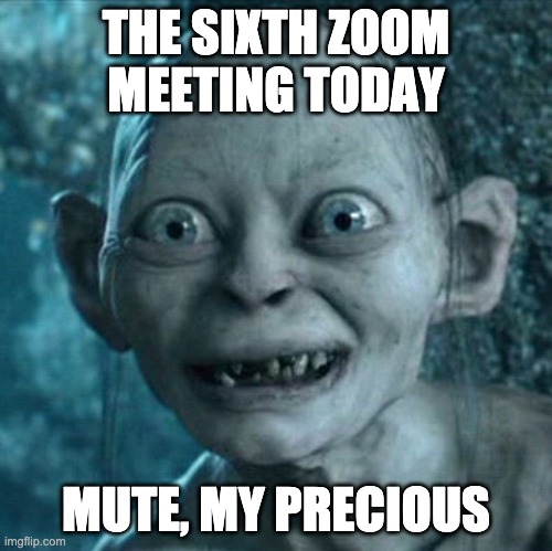 Gollum | THE SIXTH ZOOM MEETING TODAY; MUTE, MY PRECIOUS | image tagged in memes,gollum | made w/ Imgflip meme maker