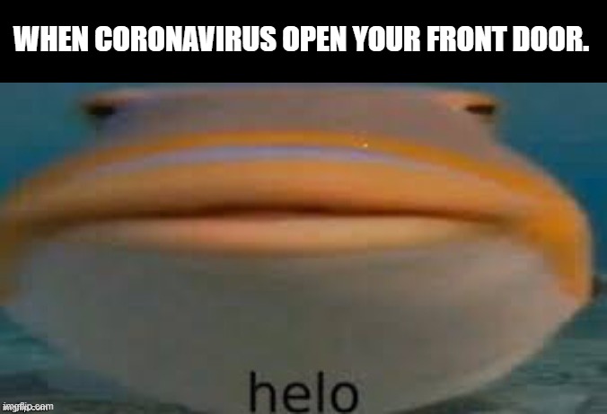 helo fish | WHEN CORONAVIRUS OPEN YOUR FRONT DOOR. | image tagged in helo fish | made w/ Imgflip meme maker