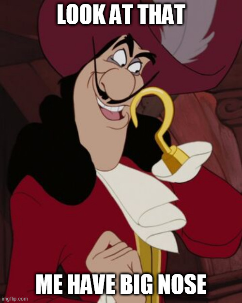 Captain Hook | LOOK AT THAT; ME HAVE BIG NOSE | image tagged in captain hook | made w/ Imgflip meme maker