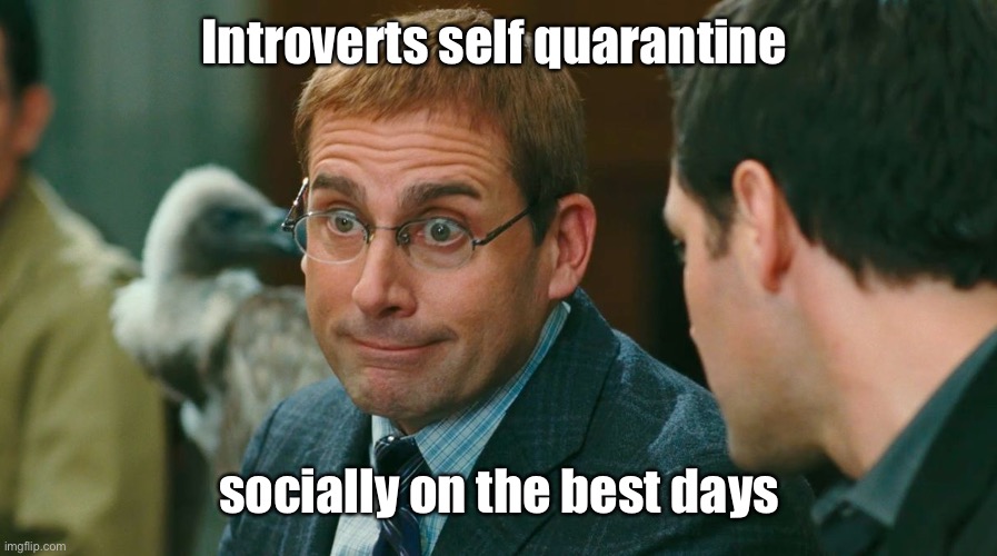 introvertarded | Introverts self quarantine socially on the best days | image tagged in introvertarded | made w/ Imgflip meme maker