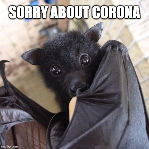 SORRY ABOUT CORONA | image tagged in coronavirus | made w/ Imgflip meme maker