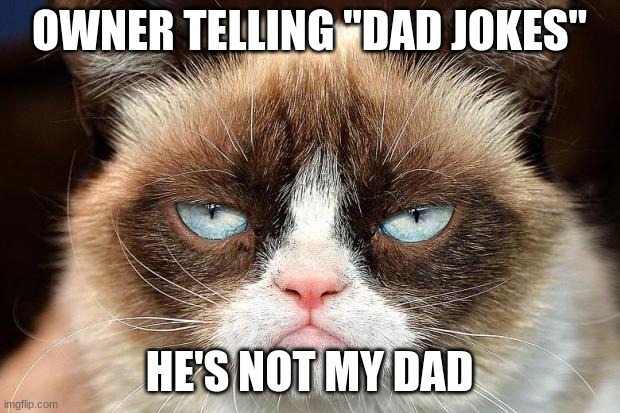 Grumpy Cat Not Amused Meme | OWNER TELLING "DAD JOKES"; HE'S NOT MY DAD | image tagged in memes,grumpy cat not amused,grumpy cat | made w/ Imgflip meme maker
