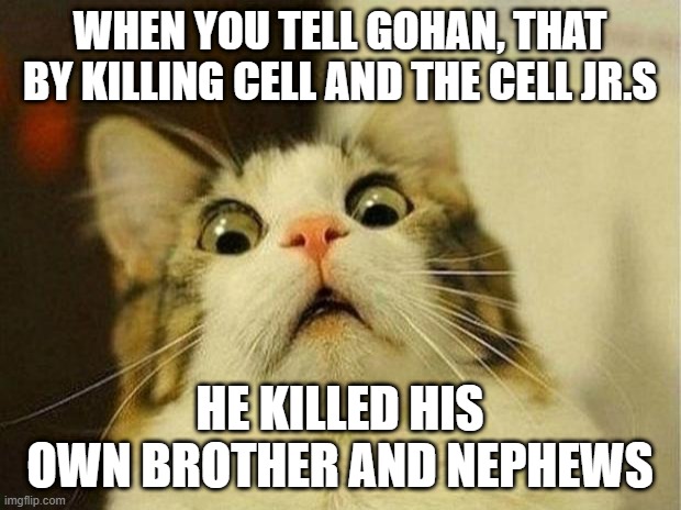 Wait a minute Gohan... | WHEN YOU TELL GOHAN, THAT BY KILLING CELL AND THE CELL JR.S; HE KILLED HIS OWN BROTHER AND NEPHEWS | image tagged in memes,scared cat,gohan,killing,cell,wait a minute | made w/ Imgflip meme maker