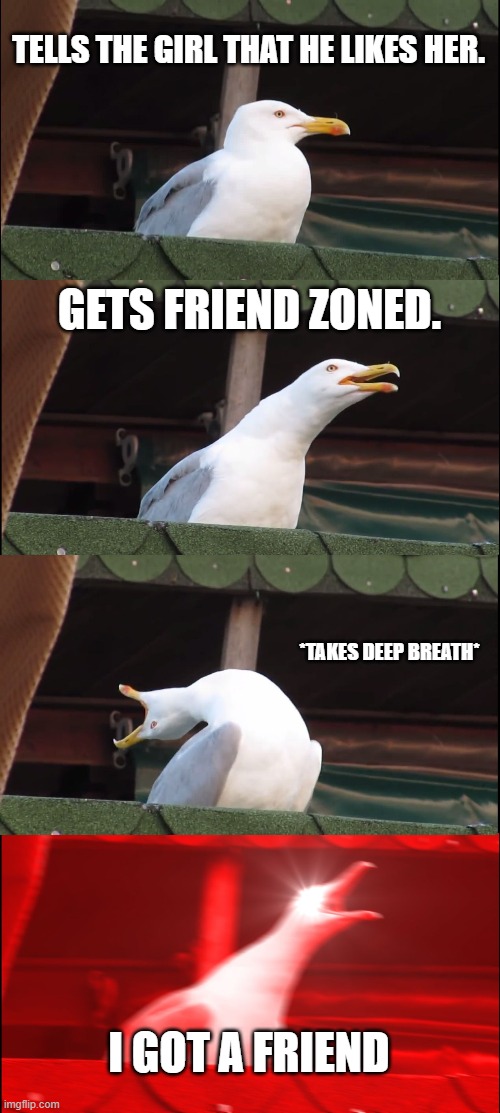 Inhaling Seagull | TELLS THE GIRL THAT HE LIKES HER. GETS FRIEND ZONED. *TAKES DEEP BREATH*; I GOT A FRIEND | image tagged in memes,inhaling seagull | made w/ Imgflip meme maker