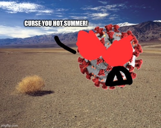 desert tumbleweed | CURSE YOU HOT SUMMER! | image tagged in desert tumbleweed | made w/ Imgflip meme maker