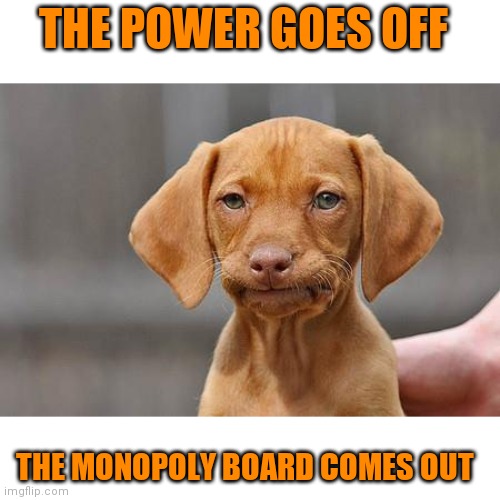 Dissapointed puppy | THE POWER GOES OFF THE MONOPOLY BOARD COMES OUT | image tagged in dissapointed puppy | made w/ Imgflip meme maker