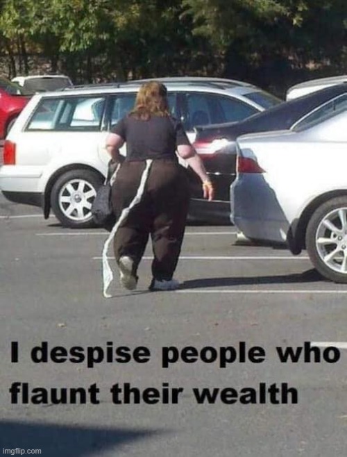 if ya got it, flaunt it? | image tagged in flaunt wealth,toilet paper | made w/ Imgflip meme maker