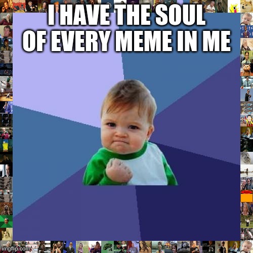 Success Kid Meme | I HAVE THE SOUL OF EVERY MEME IN ME | image tagged in memes,success kid | made w/ Imgflip meme maker