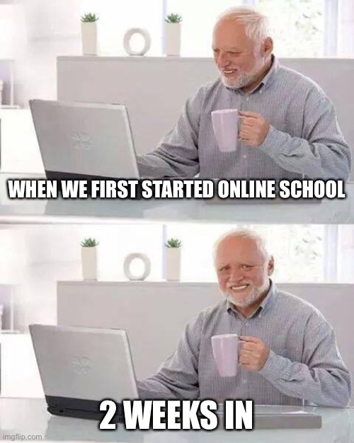 Hide the Pain Harold Meme | WHEN WE FIRST STARTED ONLINE SCHOOL; 2 WEEKS IN | image tagged in memes,hide the pain harold | made w/ Imgflip meme maker