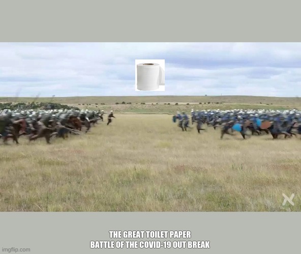 THE GREAT TOILET PAPER BATTLE OF THE COVID-19 OUT BREAK | image tagged in toilet paper | made w/ Imgflip meme maker