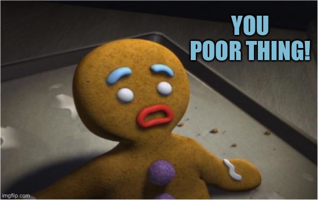 YOU POOR THING! | made w/ Imgflip meme maker