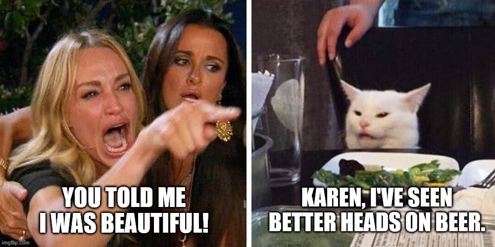 Smudge the cat | KAREN, I'VE SEEN BETTER HEADS ON BEER. YOU TOLD ME I WAS BEAUTIFUL! | image tagged in smudge the cat | made w/ Imgflip meme maker