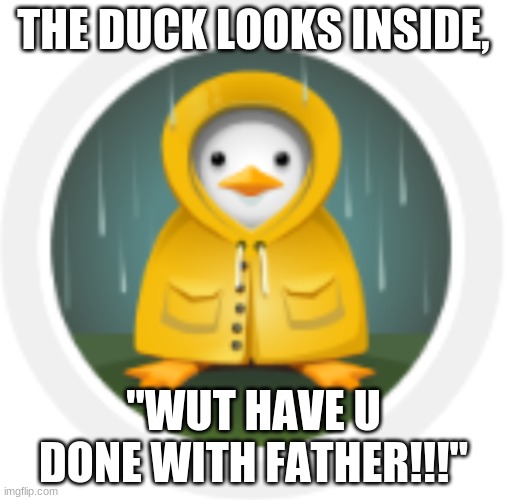 THE DUCK LOOKS INSIDE, "WUT HAVE U DONE WITH FATHER!!!" | image tagged in duck,memes,silly | made w/ Imgflip meme maker