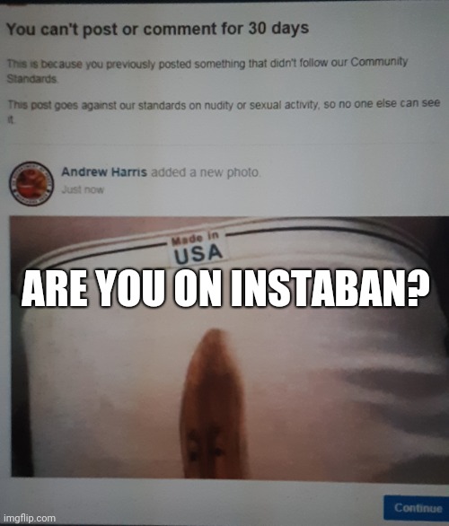 Are You On Instaban? | ARE YOU ON INSTABAN? | image tagged in instaban,donald trump,mark zuckerberg,vladimir putin | made w/ Imgflip meme maker