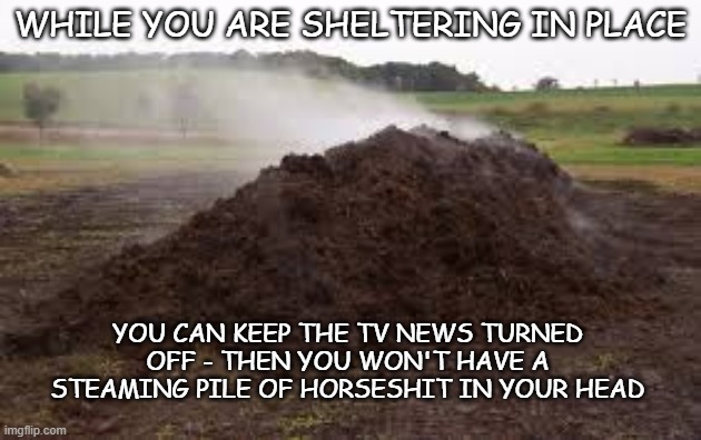 shelter from horseshit | WHILE YOU ARE SHELTERING IN PLACE; YOU CAN KEEP THE TV NEWS TURNED OFF - THEN YOU WON'T HAVE A STEAMING PILE OF HORSESHIT IN YOUR HEAD | image tagged in corona humor,coronavirus humore,coronavisrus,covid-19,tv news,the news | made w/ Imgflip meme maker