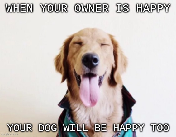 Happy | WHEN YOUR OWNER IS HAPPY; YOUR DOG WILL BE HAPPY TOO | image tagged in happy | made w/ Imgflip meme maker