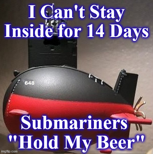 sub | I Can't Stay Inside for 14 Days; Submariners 
"Hold My Beer" | image tagged in sub,SubSimGPT2Interactive | made w/ Imgflip meme maker
