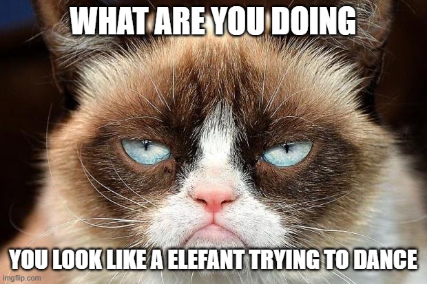 Grumpy Cat Not Amused Meme | WHAT ARE YOU DOING; YOU LOOK LIKE A ELEFANT TRYING TO DANCE | image tagged in memes,grumpy cat not amused,grumpy cat | made w/ Imgflip meme maker