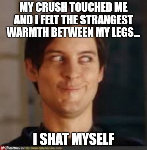 What a Feeling | MY CRUSH TOUCHED ME AND I FELT THE STRANGEST WARMTH BETWEEN MY LEGS... I SHAT MYSELF | image tagged in pervert | made w/ Imgflip meme maker