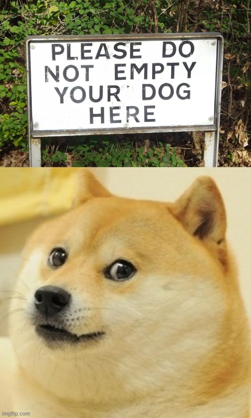 image tagged in memes,doge | made w/ Imgflip meme maker