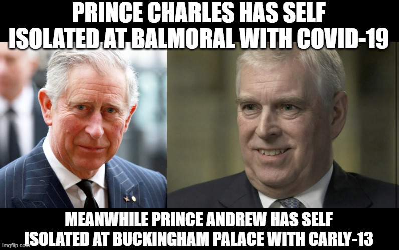 Two Princes | PRINCE CHARLES HAS SELF ISOLATED AT BALMORAL WITH COVID-19; MEANWHILE PRINCE ANDREW HAS SELF ISOLATED AT BUCKINGHAM PALACE WITH CARLY-13 | image tagged in prince charles,prince andrew | made w/ Imgflip meme maker