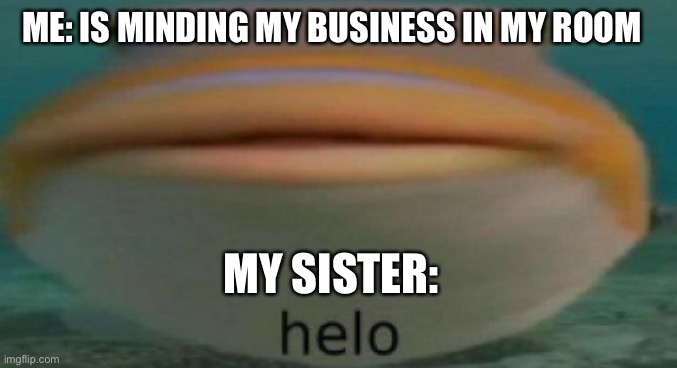 helo | ME: IS MINDING MY BUSINESS IN MY ROOM; MY SISTER: | image tagged in helo | made w/ Imgflip meme maker