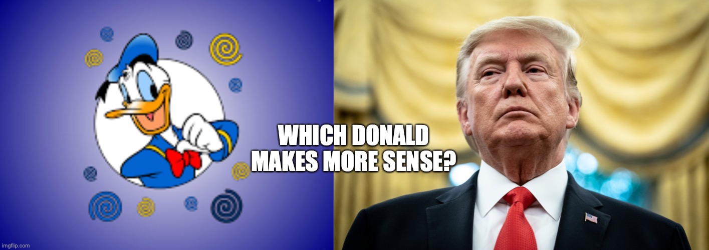 Donald and Donald |  WHICH DONALD MAKES MORE SENSE? | image tagged in donald duck,donald trump,bobcrespodotcom | made w/ Imgflip meme maker