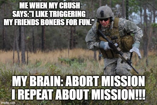 ABORT MISSION | ME WHEN MY CRUSH SAYS:"I LIKE TRIGGERING MY FRIENDS BONERS FOR FUN."; MY BRAIN: ABORT MISSION I REPEAT ABOUT MISSION!!! | image tagged in abort mission | made w/ Imgflip meme maker