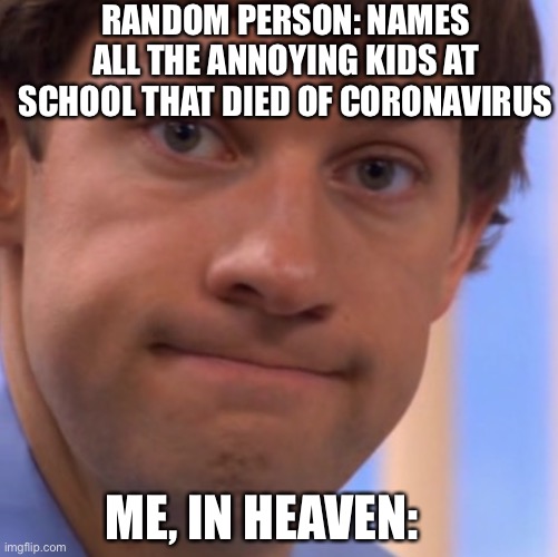 Welp Jim face | RANDOM PERSON: NAMES ALL THE ANNOYING KIDS AT SCHOOL THAT DIED OF CORONAVIRUS; ME, IN HEAVEN: | image tagged in welp jim face | made w/ Imgflip meme maker