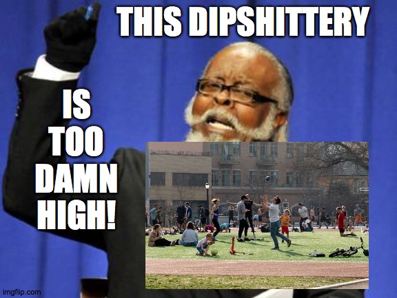 Failure to Bring Revelers to Heel During Coronavirus | THIS DIPSHITTERY; IS TOO DAMN HIGH! | image tagged in memes,too damn high,coronavirus,wtf,peter griffin neck snap,get off my lawn | made w/ Imgflip meme maker