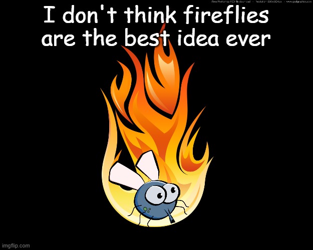 Nature is cruel | I don't think fireflies are the best idea ever | image tagged in mother nature,firefly,lol,cruel | made w/ Imgflip meme maker